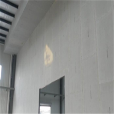 远安宁波ALC板|EPS加气板隔墙与混凝土整浇联接的实验研讨